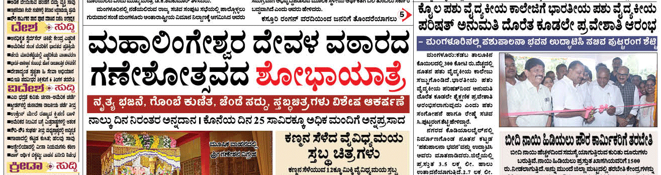 ePaper