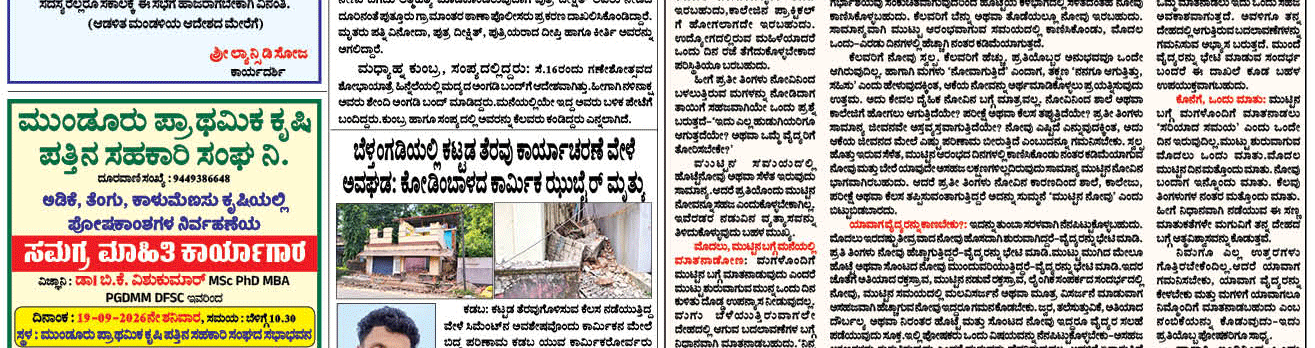 ePaper