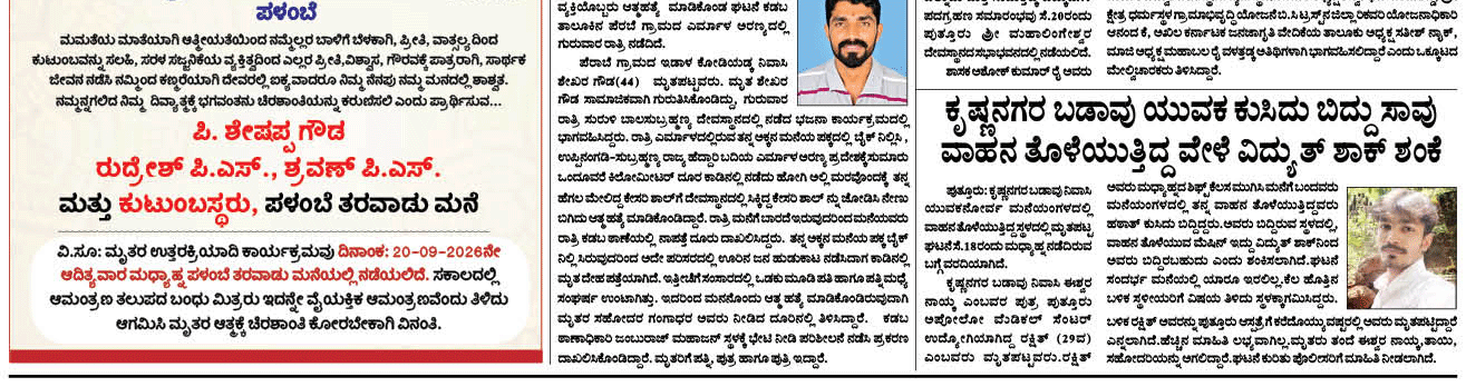 ePaper