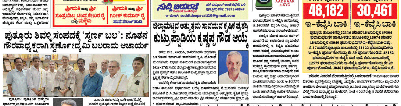 ePaper