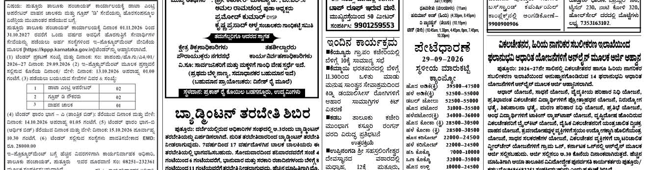 ePaper