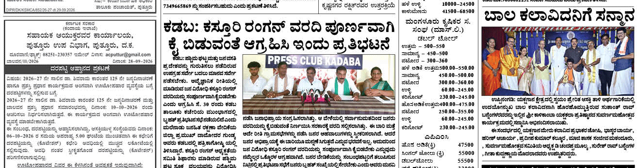ePaper