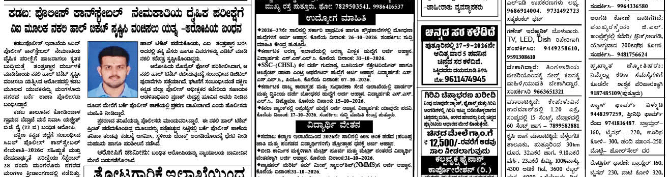 ePaper