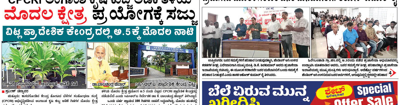 ePaper