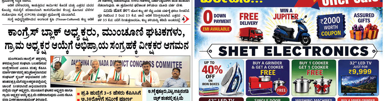 ePaper