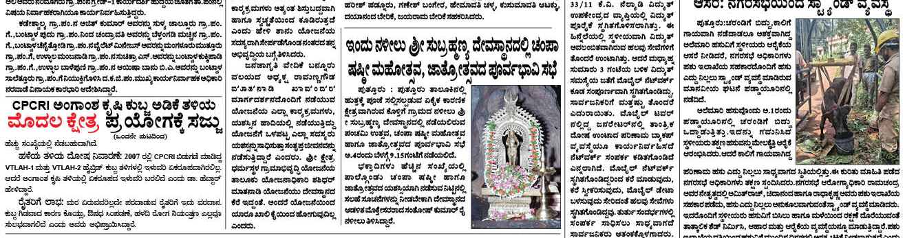 ePaper