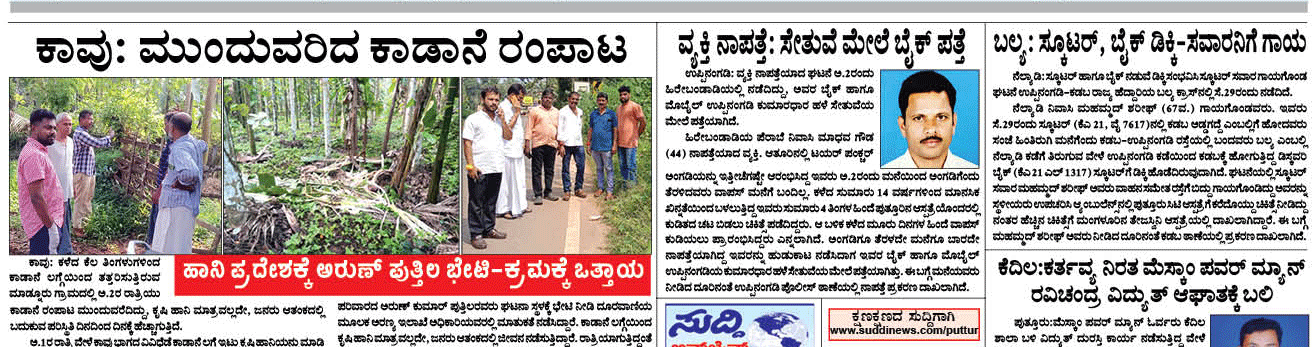 ePaper