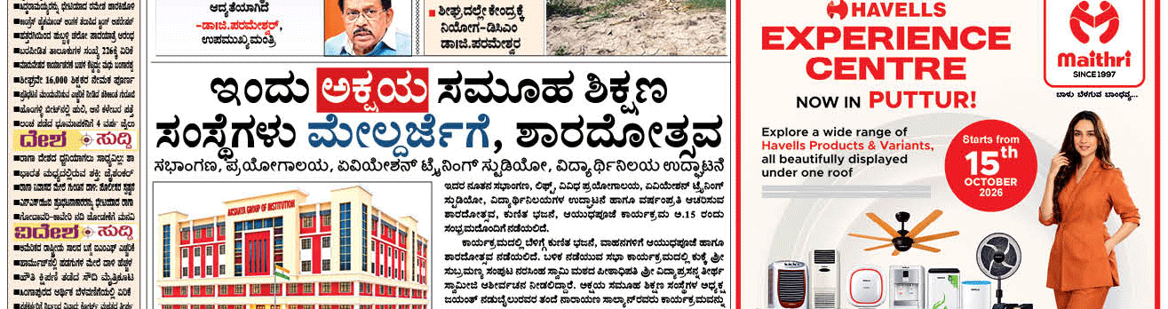 ePaper