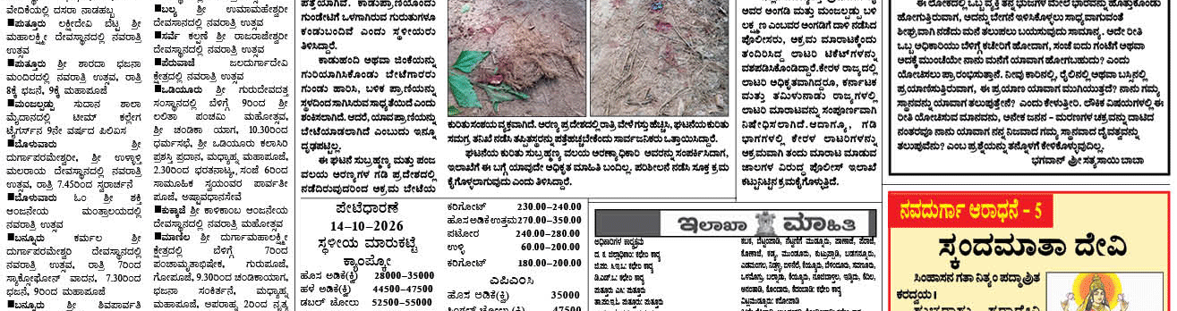 ePaper