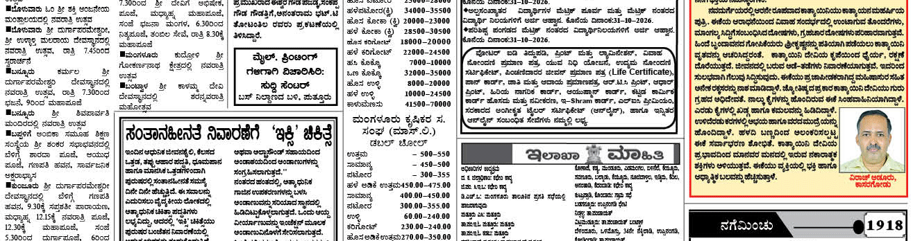 ePaper