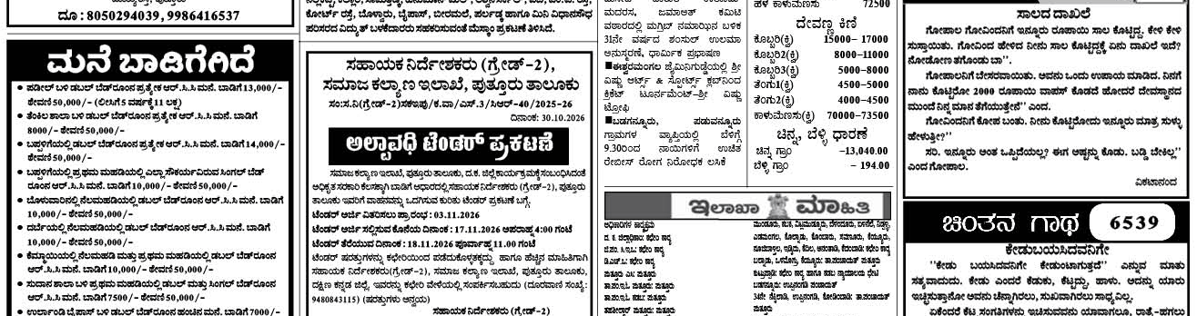 ePaper