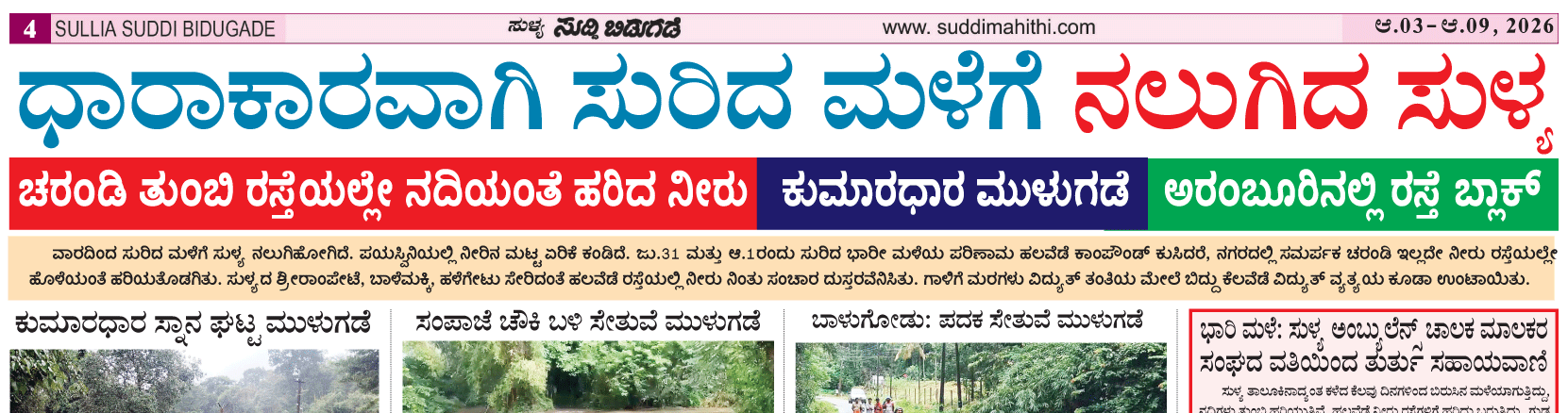 ePaper