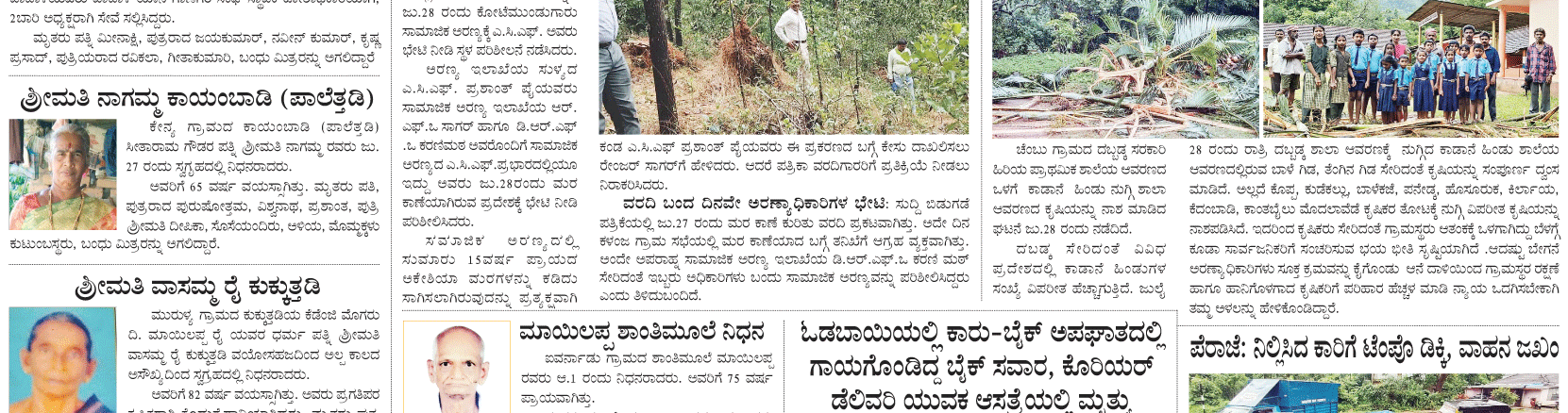 ePaper