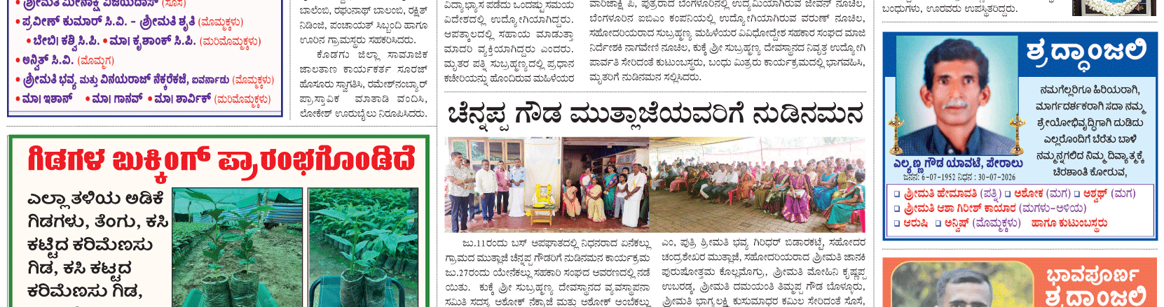 ePaper