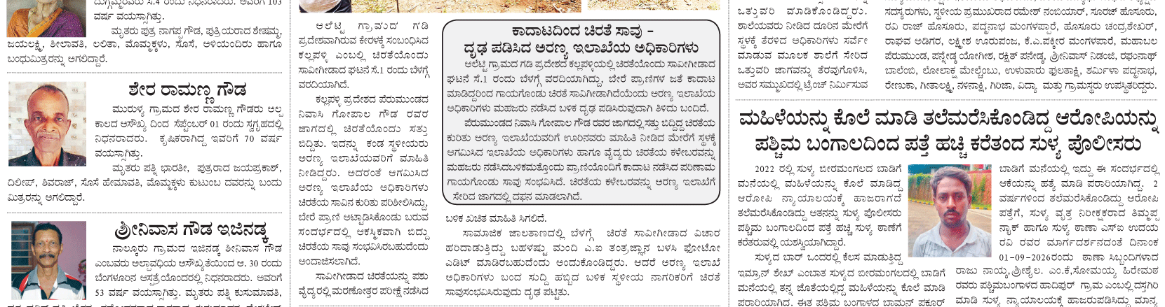 ePaper