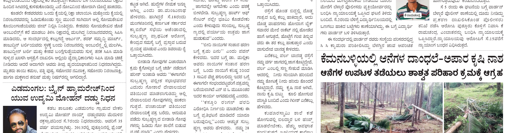 ePaper