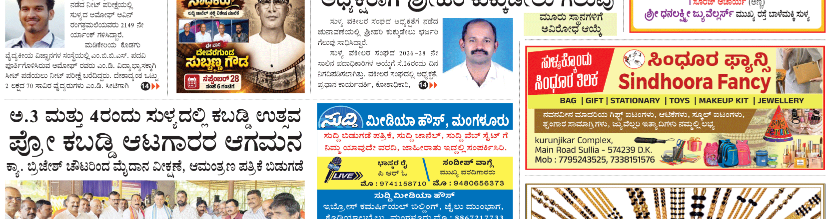 ePaper