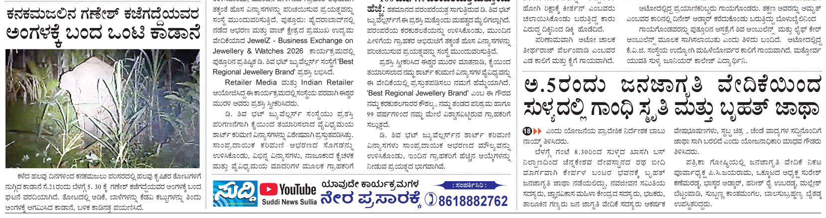 ePaper