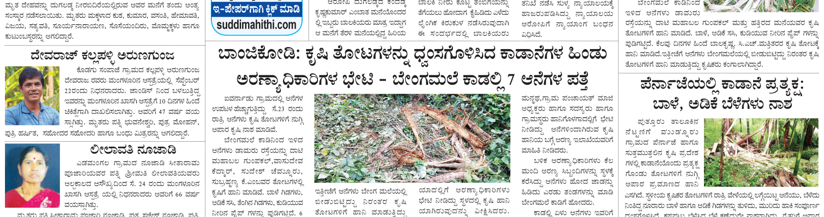 ePaper
