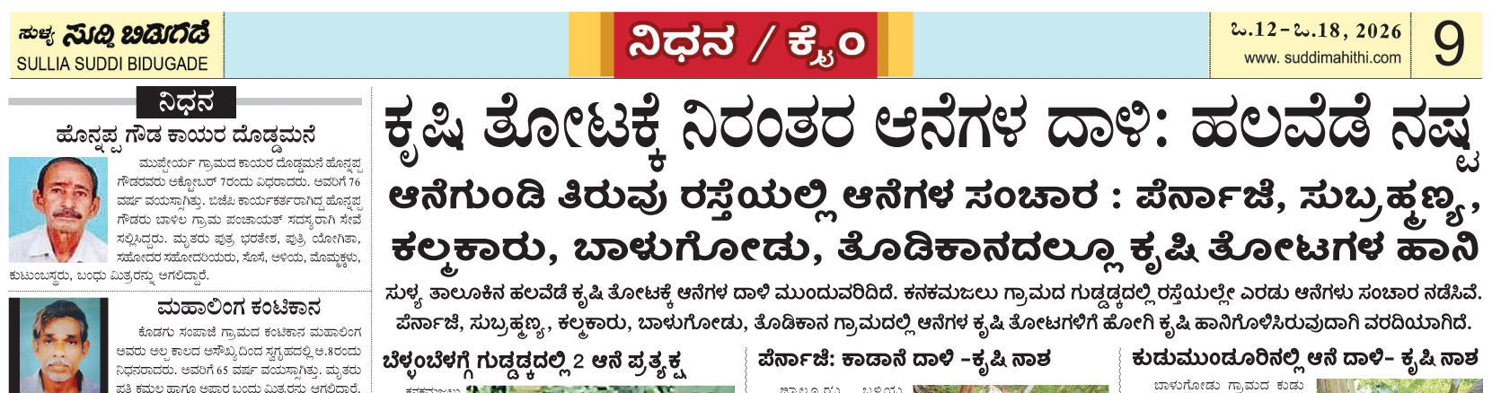 ePaper