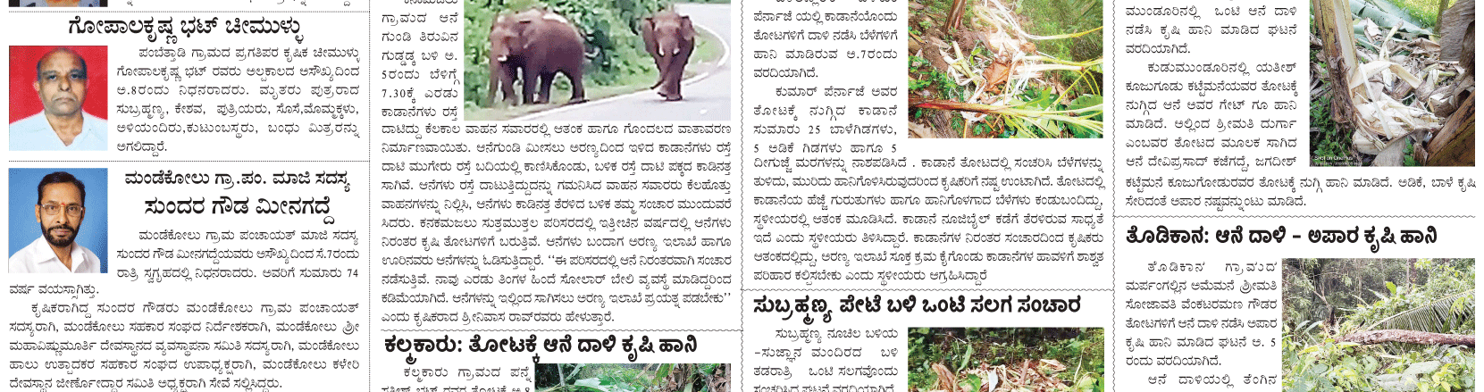 ePaper