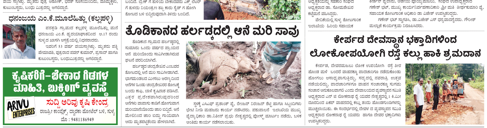 ePaper